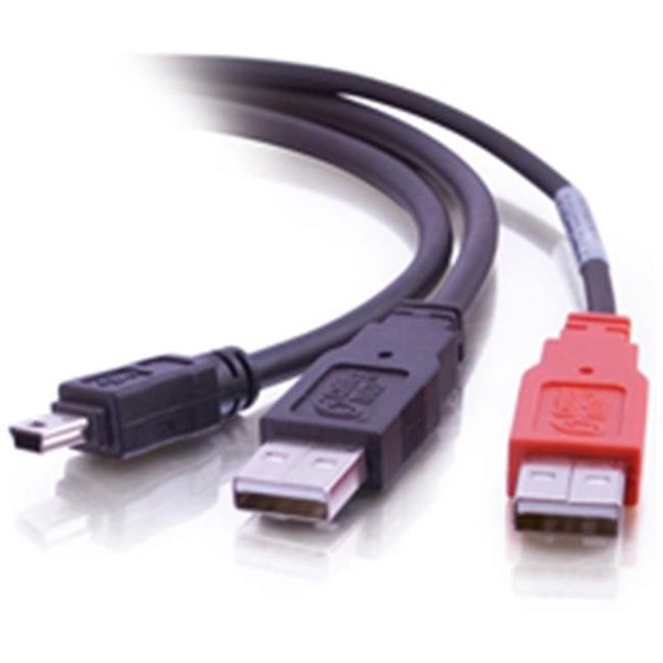 Fasttrack 6ft USB 2.0 One Mini-b Male to Two A Male Y-Cable FA56969